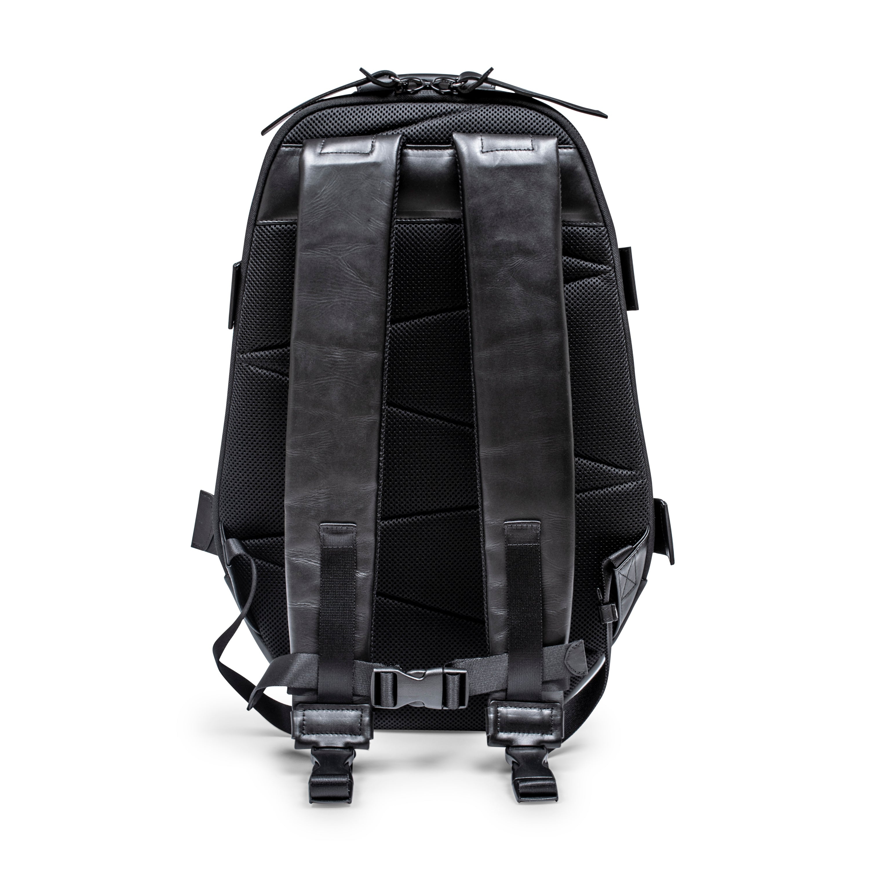 PACK 1 COW, BLACK