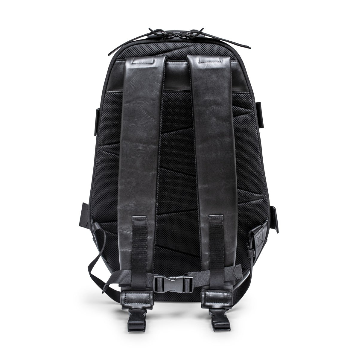 PACK 1 COW, BLACK